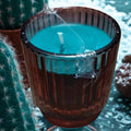 Cactus and Sea Salt